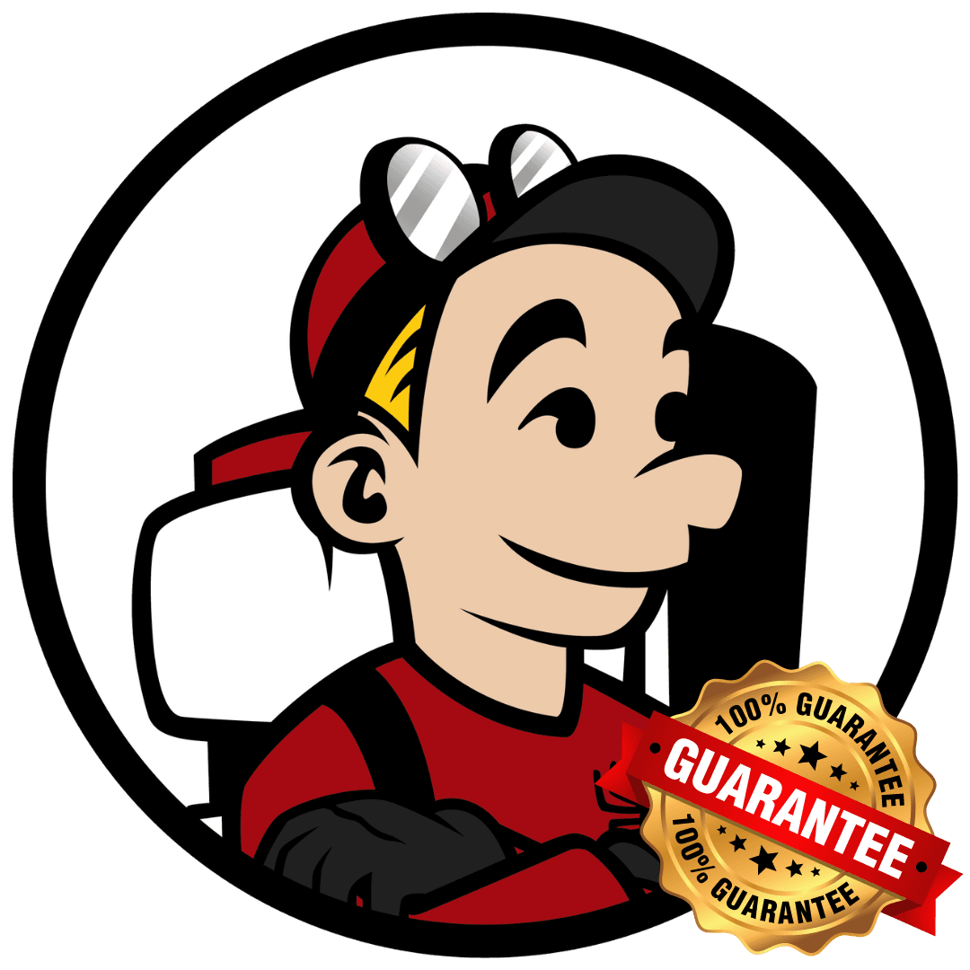 The Spider Guys logo