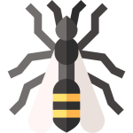 hornet
