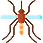 mosquito